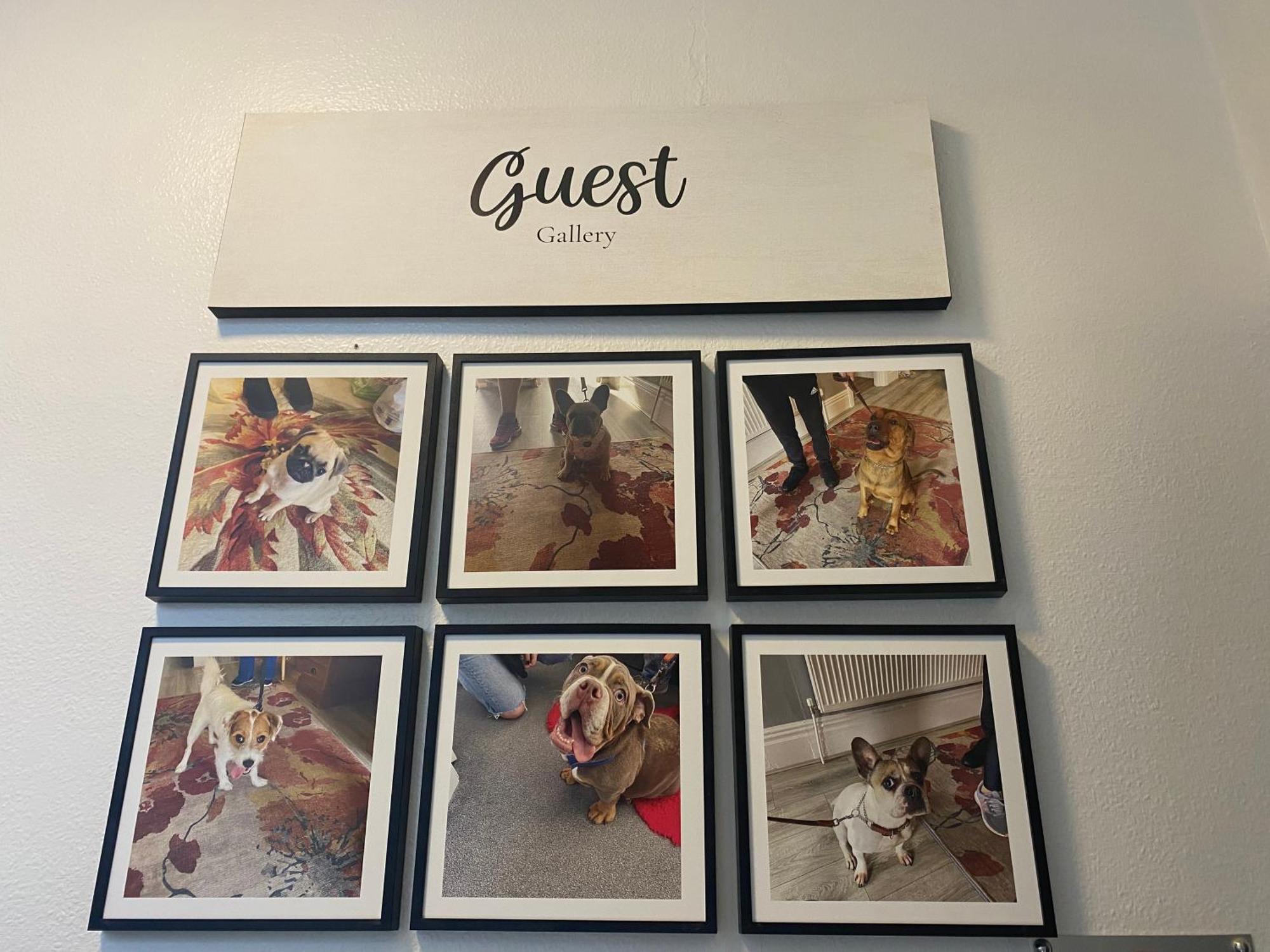 The Mayfield Boutique Guest House Blackpool Extérieur photo